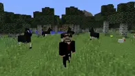 MILE(COBBLE)STONE VIDEO